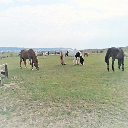 Greenways Valley Holiday Park グレート・トーリントン エクステリア 写真