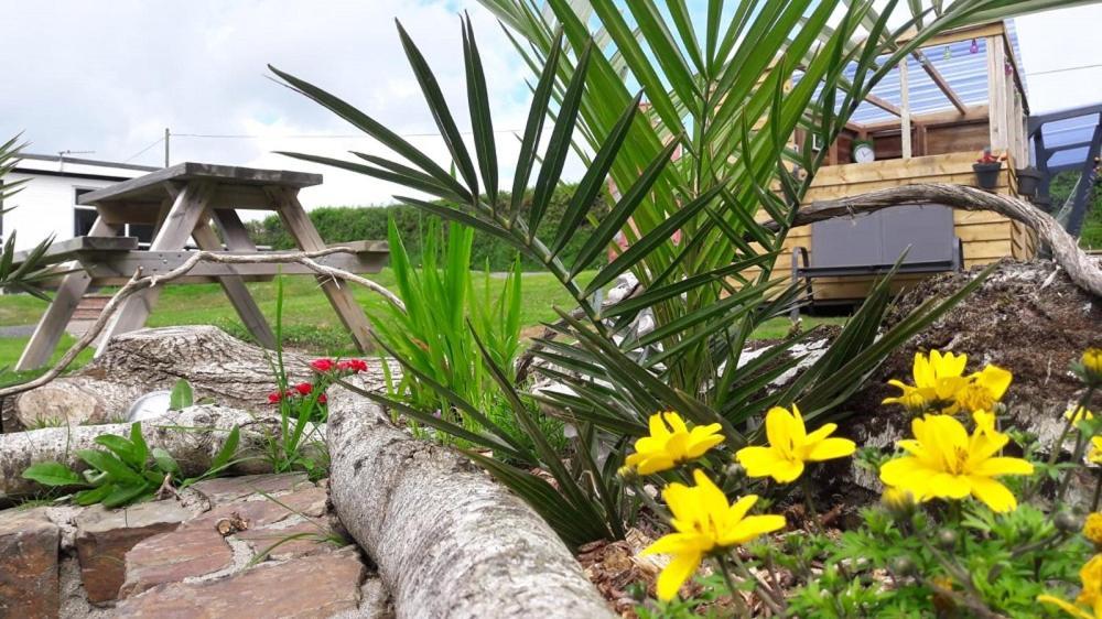 Greenways Valley Holiday Park グレート・トーリントン エクステリア 写真