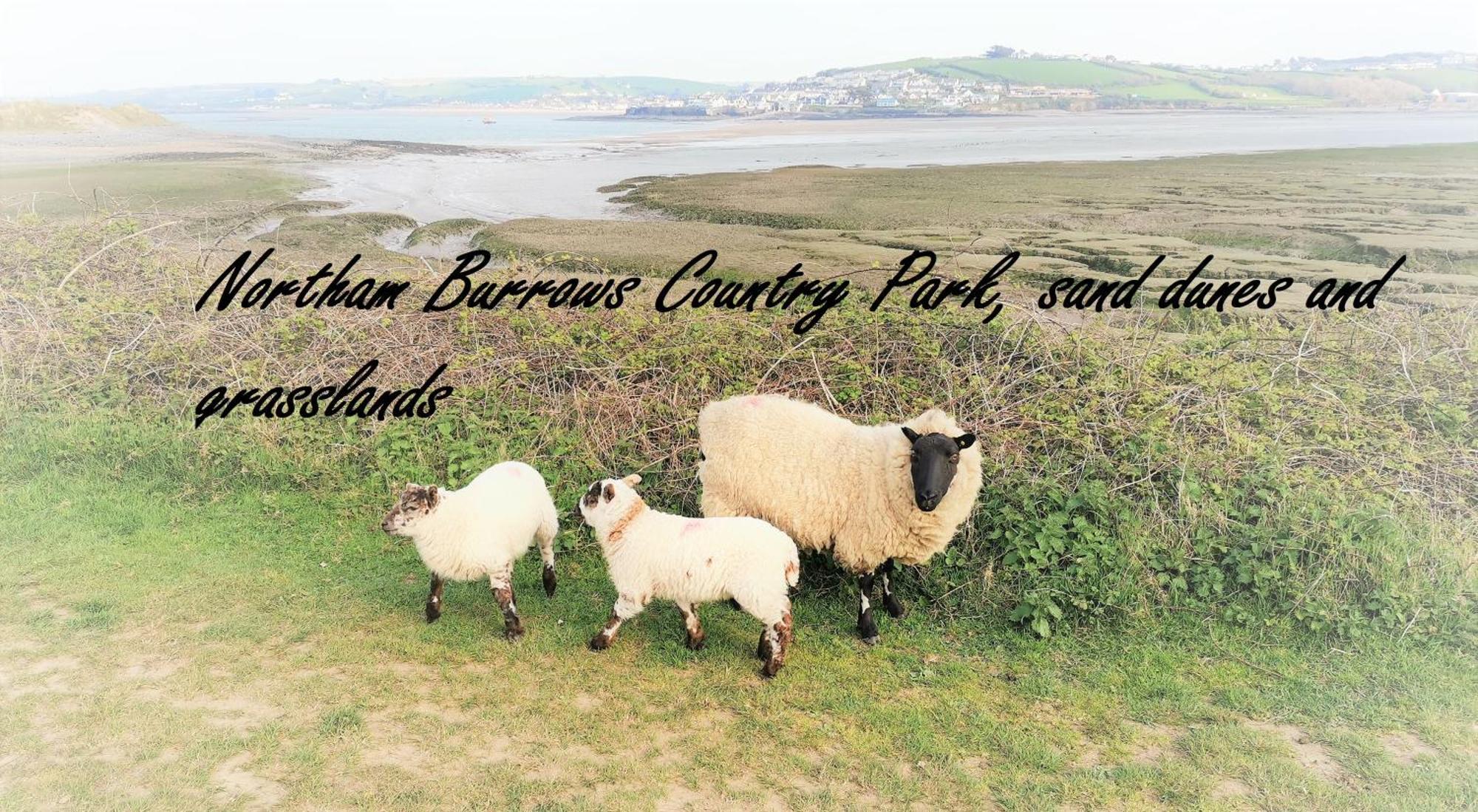 Greenways Valley Holiday Park グレート・トーリントン エクステリア 写真