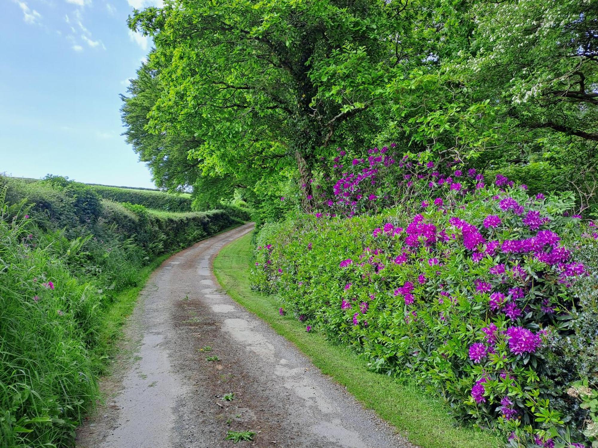 Greenways Valley Holiday Park グレート・トーリントン エクステリア 写真